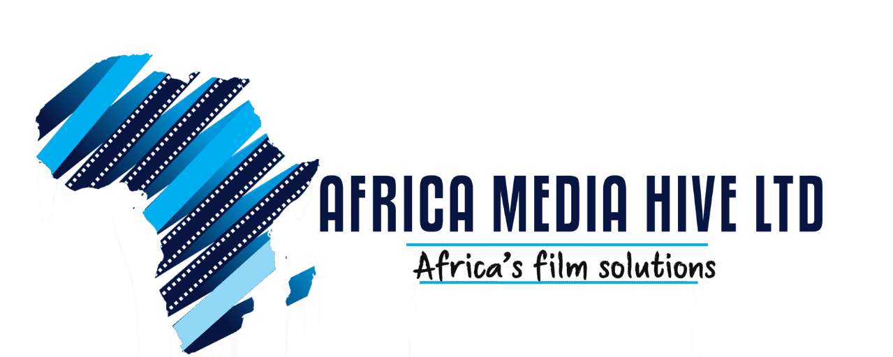 Africa Media Hive